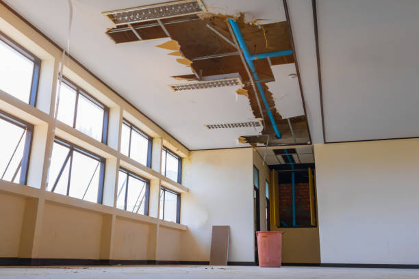 Best Water damage restoration near me  in Hurricane, WV