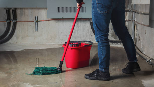 Best Flooded house restoration  in Hurricane, WV