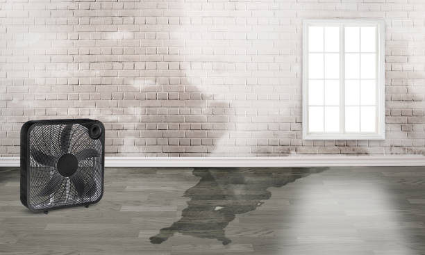 Best 24-hour water damage restoration  in Hurricane, WV