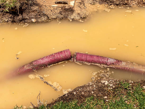 Best Water damage cleanup near me  in Hurricane, WV
