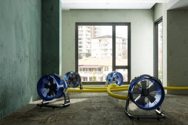 Best Ceiling water damage repair  in Hurricane, WV