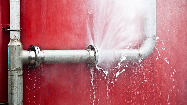 Best Carpet water damage restoration  in Hurricane, WV